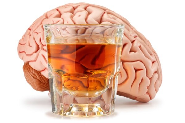 Что происходит с мозгом пьяницы